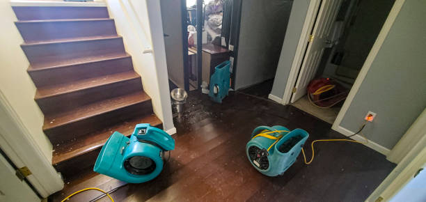 Water damage restoration experts in VA