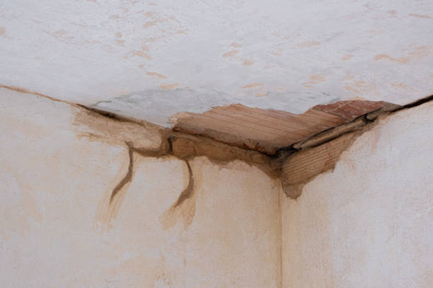 Best Fire Damage Restoration  in Tappahannock, VA