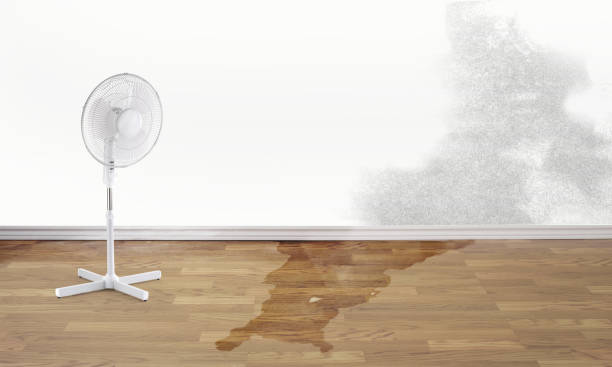 Best Basement water damage restoration  in Tappahannock, VA
